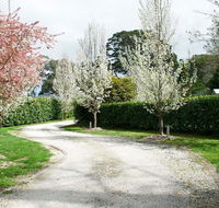 Robin Hill Manor - rambling retreat  tennis court - Redcliffe Tourism