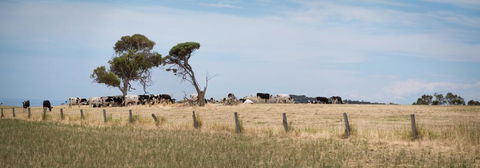 SALT - 37 Oceanview Drive - Redcliffe Tourism 2