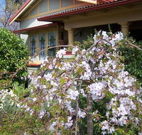 Shelton-Lea Bed  Breakfast - Redcliffe Tourism
