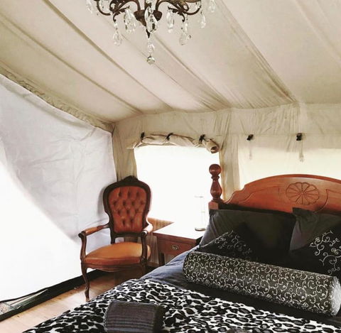 Silk Pavilions Glamping - Redcliffe Tourism 1