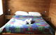 Somerset Beachside Cabin And Caravan Park - thumb 3