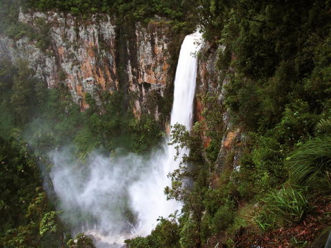 Springbrook Lyrebird Retreat - Redcliffe Tourism 2