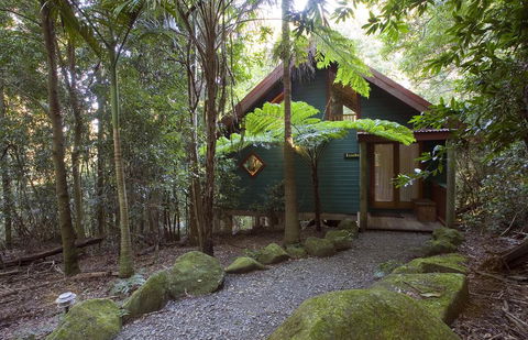 Springbrook Lyrebird Retreat - Redcliffe Tourism 1