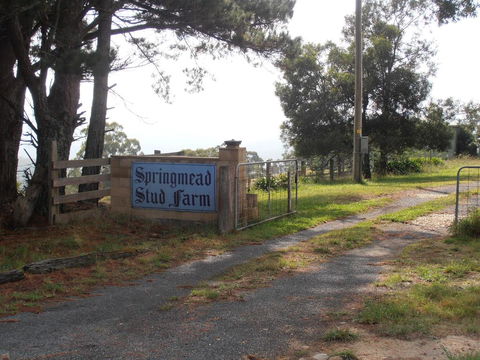 Springmead B&B - Redcliffe Tourism 2