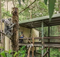 Springwood Meditation Centre - Redcliffe Tourism