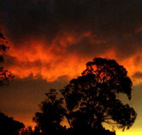 Taits Place Vineyard B  B - Redcliffe Tourism