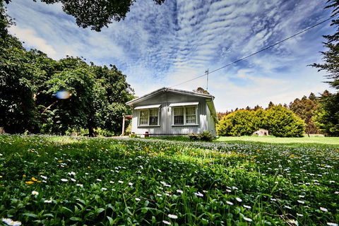 Tarkinegrove - Redcliffe Tourism 0