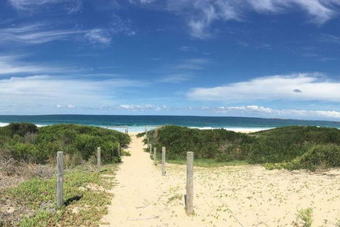 The Beach Shack - Redcliffe Tourism 1
