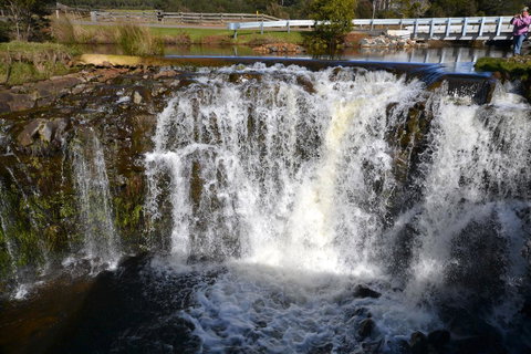 Buttons Cottage For Canyon & Rain Forest Walks With In House Dining - Redcliffe Tourism 30