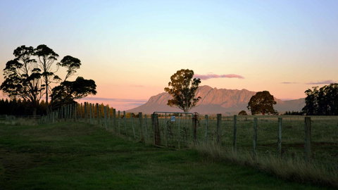Buttons Cottage For Canyon & Rain Forest Walks With In House Dining - Redcliffe Tourism 31