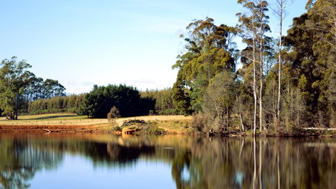 Buttons Cottage For Canyon & Rain Forest Walks With In House Dining - Redcliffe Tourism 29