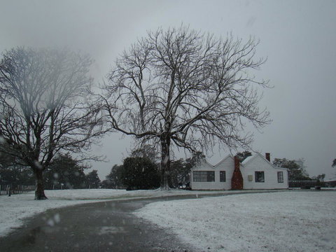 Buttons Cottage For Canyon & Rain Forest Walks With In House Dining - Redcliffe Tourism 11