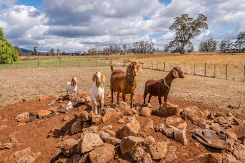 Glencoe Country Bed And Breakfast - Redcliffe Tourism 36