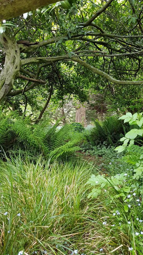 Whispering Hills Retreat - Redcliffe Tourism 15