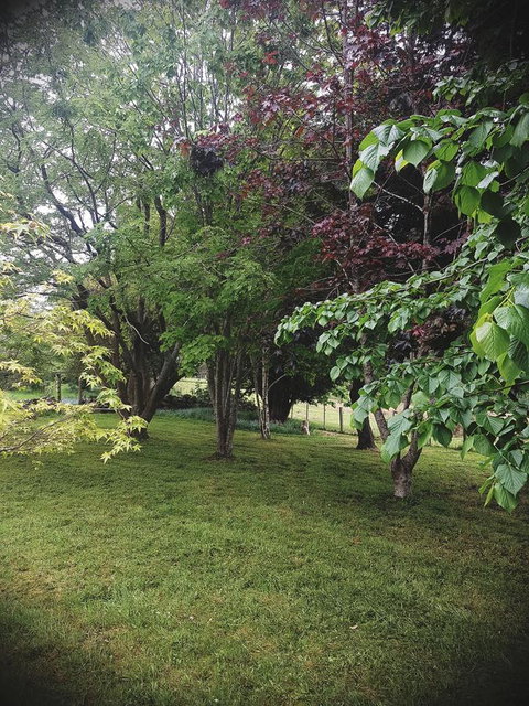 Whispering Hills Retreat - Redcliffe Tourism 14