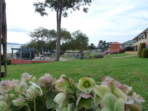 Swansea Motor Inn Tasmania - Redcliffe Tourism 17
