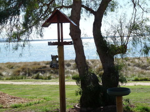 Swansea Motor Inn Tasmania - Redcliffe Tourism 20