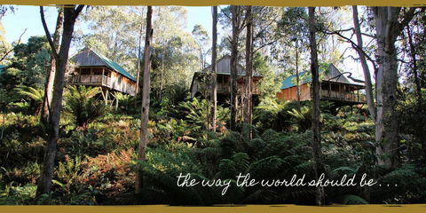 Lemonthyme Wilderness Retreat - Redcliffe Tourism 20