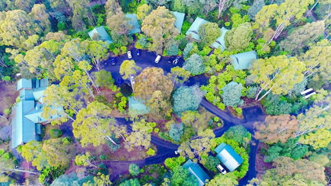 Lemonthyme Wilderness Retreat - Redcliffe Tourism 1