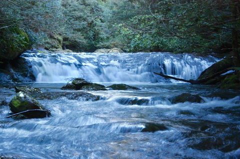 Lemonthyme Wilderness Retreat - Redcliffe Tourism 10