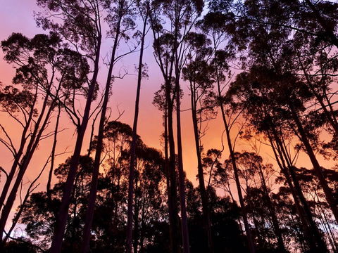 Lemonthyme Wilderness Retreat - Redcliffe Tourism 8