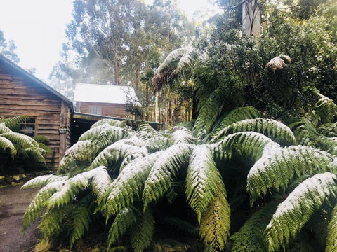 Lemonthyme Wilderness Retreat - Redcliffe Tourism 5