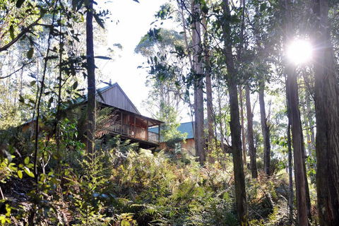 Lemonthyme Wilderness Retreat - Redcliffe Tourism 25