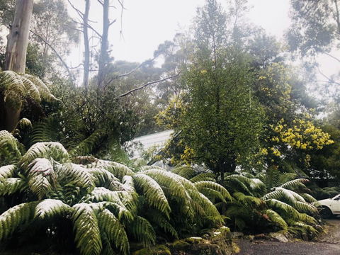 Lemonthyme Wilderness Retreat - Redcliffe Tourism 16