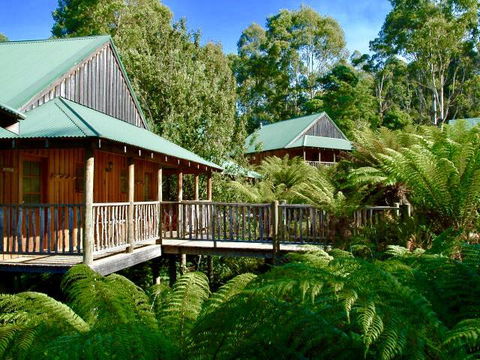 Lemonthyme Wilderness Retreat - Redcliffe Tourism 11