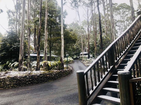 Lemonthyme Wilderness Retreat - Redcliffe Tourism 15