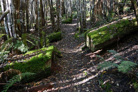 Lemonthyme Wilderness Retreat - Redcliffe Tourism 22
