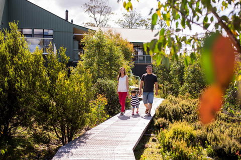Cradle Mountain Hotel - Redcliffe Tourism 23