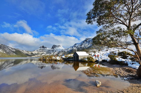 Cradle Mountain Hotel - Redcliffe Tourism 3