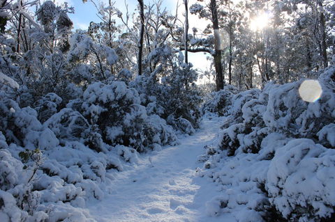 Cradle Mountain Hotel - Redcliffe Tourism 4