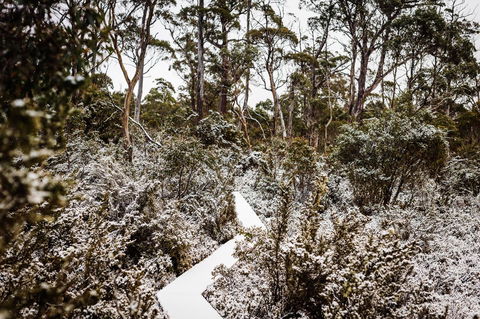 Cradle Mountain Hotel - Redcliffe Tourism 6