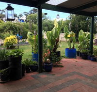 Blue Wren Bungalow - Redcliffe Tourism