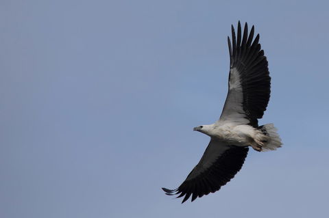 Arthur Riverfront And Sea Lodge Downstream - Redcliffe Tourism 37