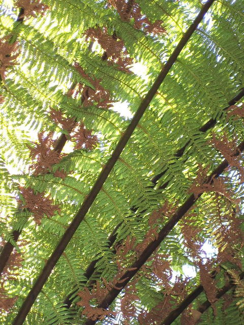 Arthur Riverfront And Sea Lodge Downstream - Redcliffe Tourism 31