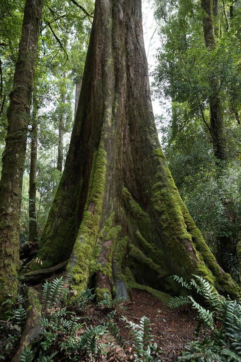 Arthur Riverfront And Sea Lodge Downstream - Redcliffe Tourism 33