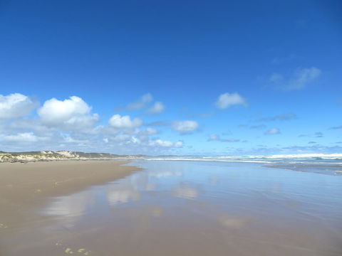 Arthur Riverfront And Sea Lodge Downstream - Redcliffe Tourism 24