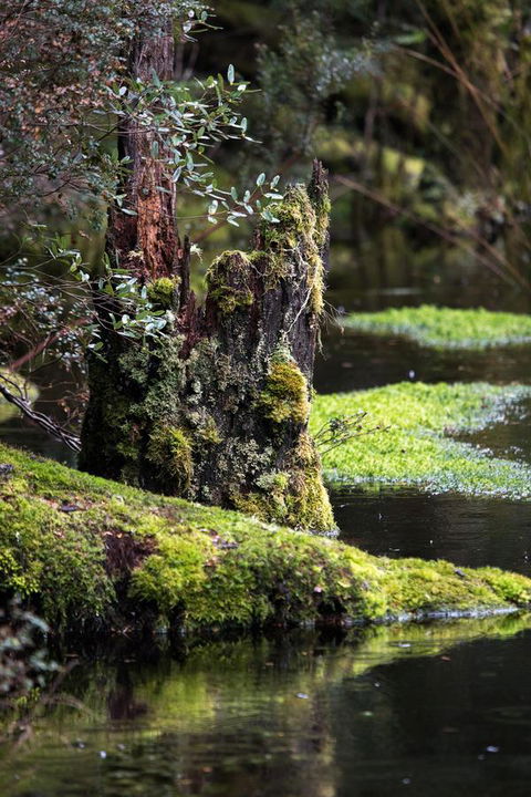 Arthur Riverfront And Sea Lodge Downstream - Redcliffe Tourism 30