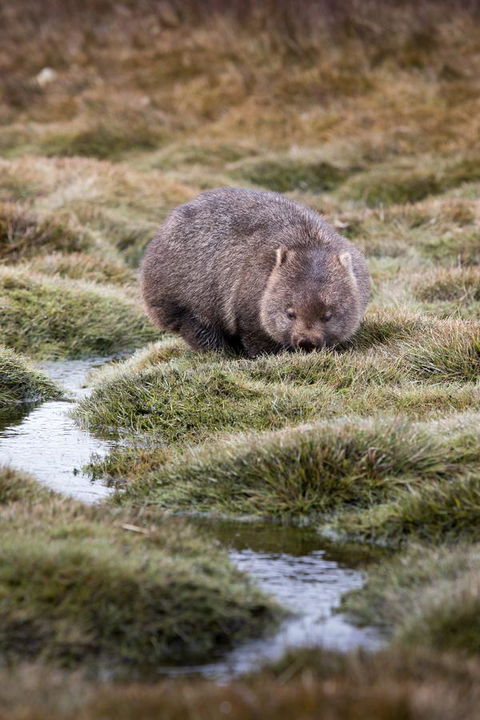 Arthur Riverfront And Sea Lodge Downstream - Redcliffe Tourism 40