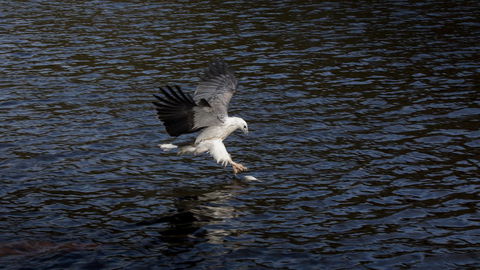 Arthur Riverfront And Sea Lodge Downstream - Redcliffe Tourism 38
