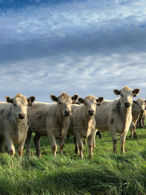 Arthur Riverfront And Sea Lodge Downstream - Redcliffe Tourism 43