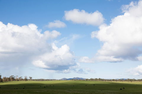 Arthur Riverfront And Sea Lodge Downstream - Redcliffe Tourism 44