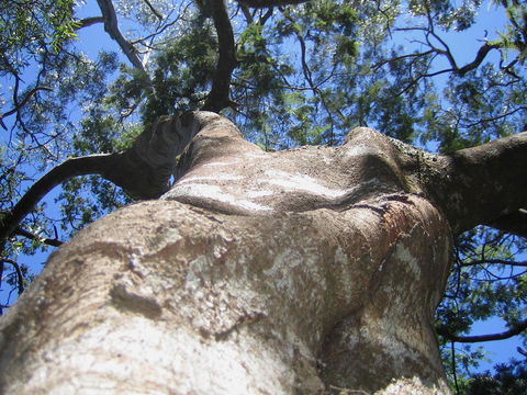 Arthur Riverfront And Sea Lodge Downstream - Redcliffe Tourism 32