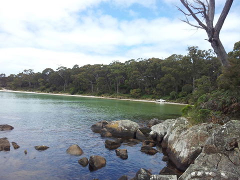 Mandala Bruny Island - Redcliffe Tourism 28