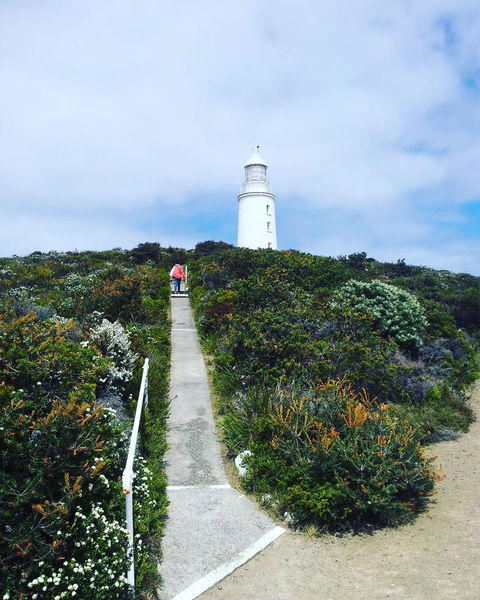 Mandala Bruny Island - Redcliffe Tourism 27