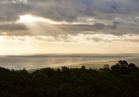 RACV Cape Schanck Resort - Redcliffe Tourism 6