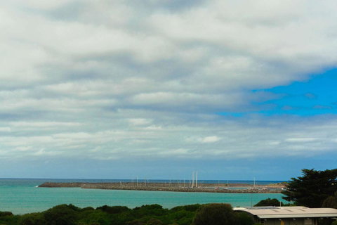 The Apollo - Redcliffe Tourism 11